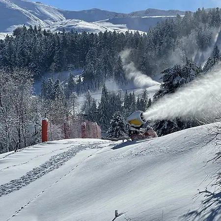 T2 Ideal Famille, Proche Commerces Et Pistes, Lave-vaisselle, Lave-linge, Tv Lcd/dvd - Fr-1-787-34 Laveissière