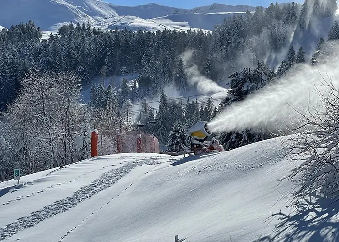 T2 Ideal Famille, Proche Commerces Et Pistes, Lave-vaisselle, Lave-linge, Tv Lcd/dvd - Fr-1-787-34 Laveissière